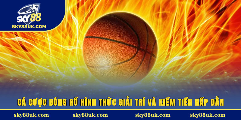 Cá cược bóng rổ, hình thức giải trí và kiếm tiền hấp dẫn